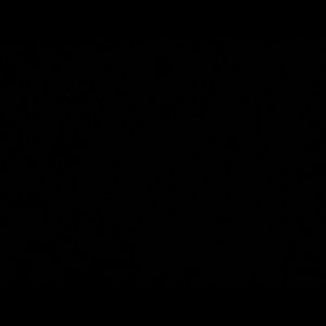 Meet your Posher, Meila